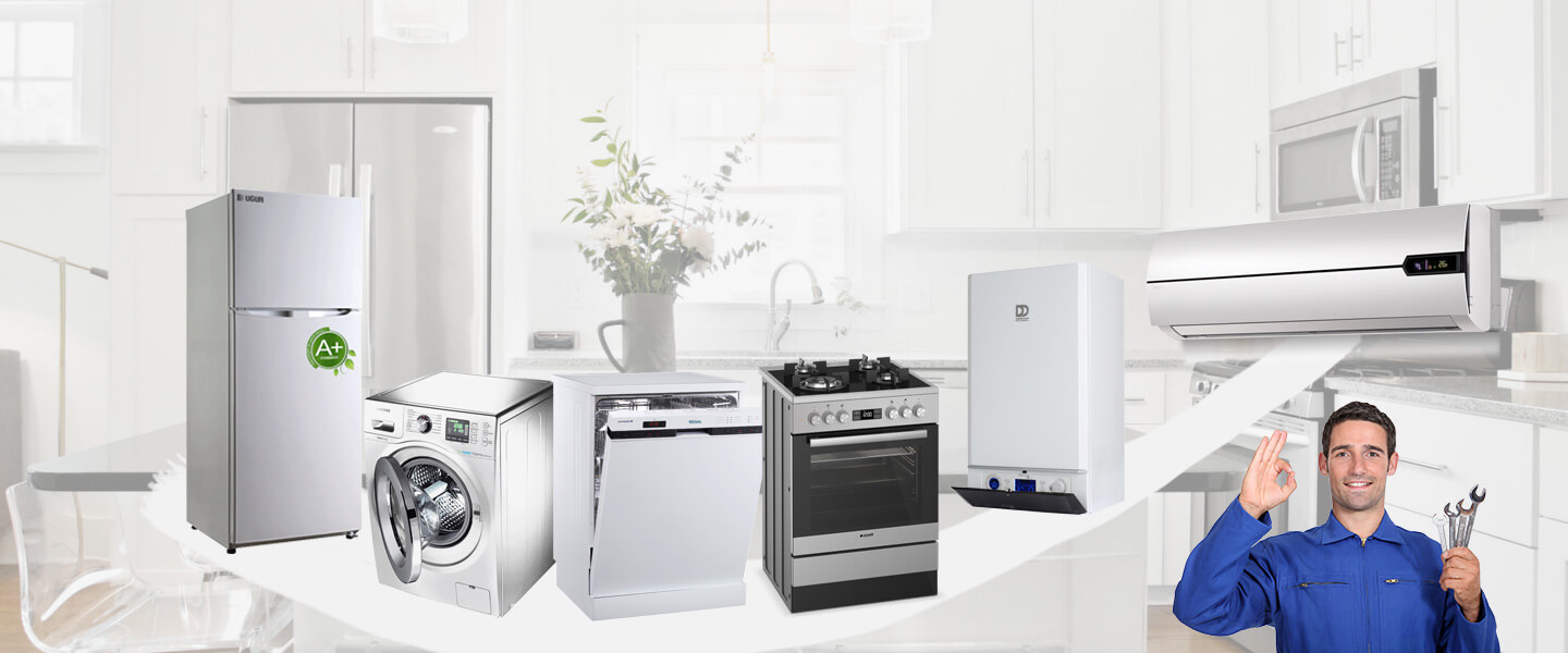 Darıca Electrolux Servisi